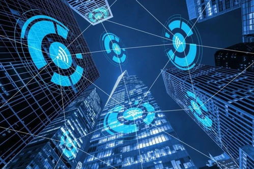 智網(wǎng)安云 東西湖企業(yè)守護(hù)中國西北網(wǎng)絡(luò)安全，引領(lǐng)網(wǎng)絡(luò)技術(shù)開發(fā)創(chuàng)新