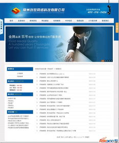 ASP精品 一款藍(lán)色漂亮的網(wǎng)絡(luò)科技公司源碼，助力技術(shù)開發(fā)新高度